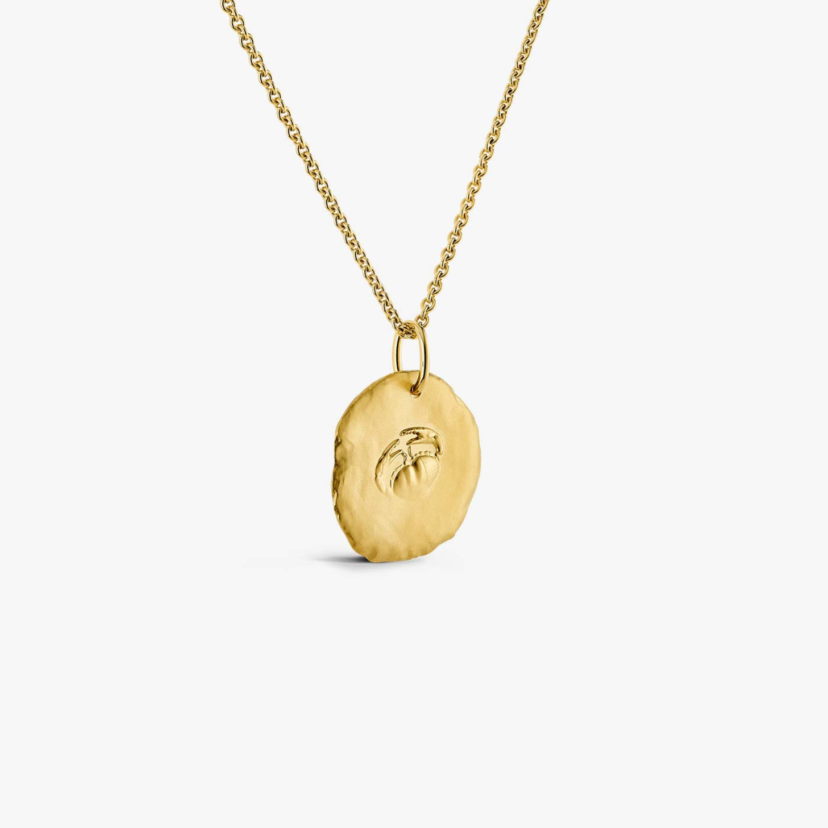 Yellow Gold Astro Cancer Medallion, chain view